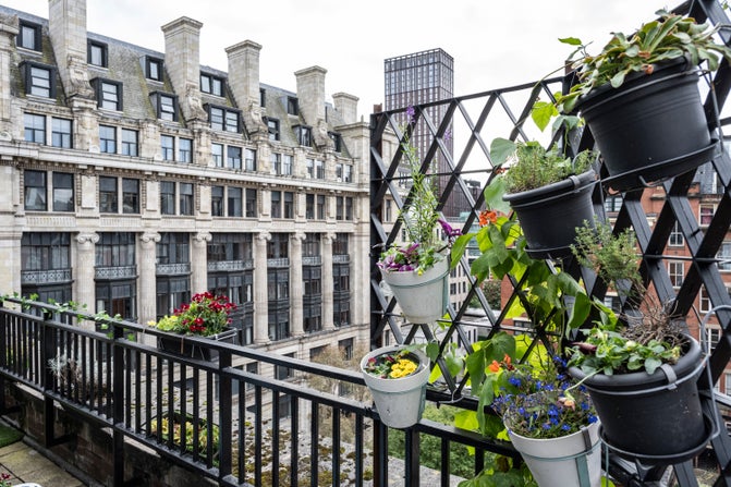 Contestant balcony for the Sky Gardening Challenge.